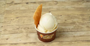 Vanilla Ice cream
