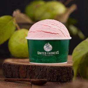 Guava Ice Cream