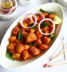 Gobi 65