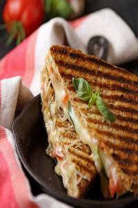 Veg Cheese Sandwich Plain