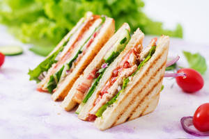 Gobi Club Sandwich