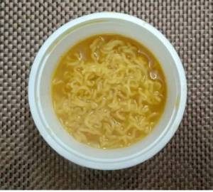 Plane Maggi