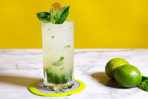 Lime Mint Mojito