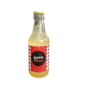 Apple Punch Kombucha