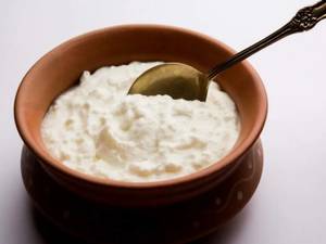 Plain Dahi