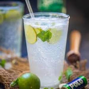 Extra Virgin Mojito