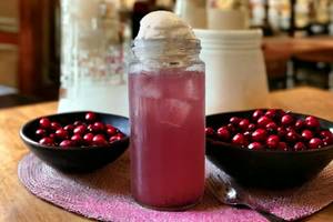 Cranberry Icecream Soda