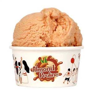 Almond Praline Icecream Tub