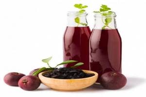 Kokum Juice