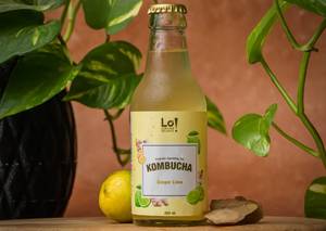 Kombucha - Ginger Lime (Sugarfree)