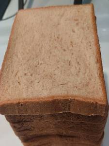 Whole Wheat Bread