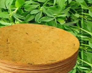 Methi Khakra (our Speciality)