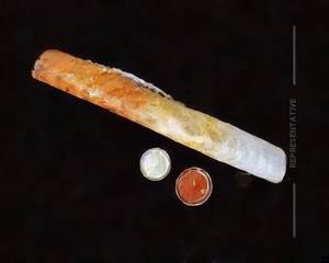 Paper Sada Dosa