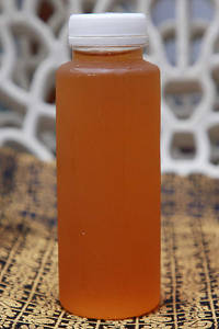 Panagam