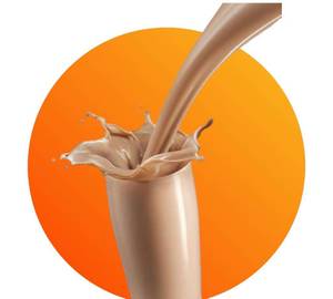 WHEY Protein Milkshake - Chocolate Flavour