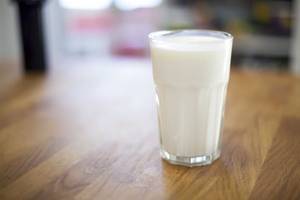 Hot Milk (250 Ml)