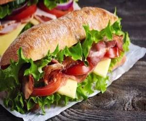 Special  Veggie Sub