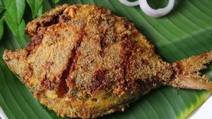 Pomfret Rava Fry