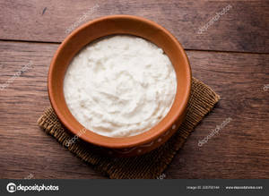 Plain Dahi (Curd)