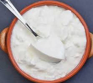 Plain Curd