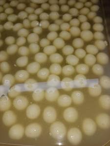 Rasgulla