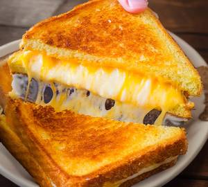 Cheese Sandwich Grill