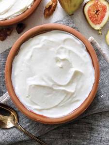 Plain Curd