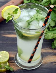 Virgin Mojito