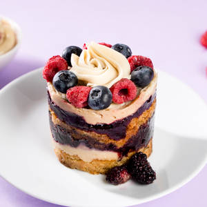 Vegan Vanilla Mixed Berry Single