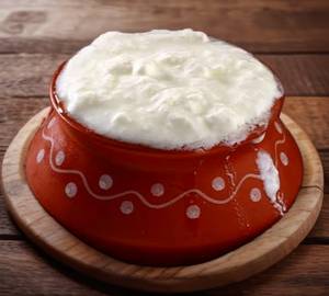 Plain Curd