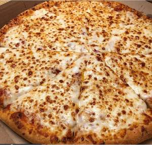 Medium Double Cheese Pizza    