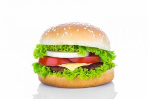 Mexican Veg Burger