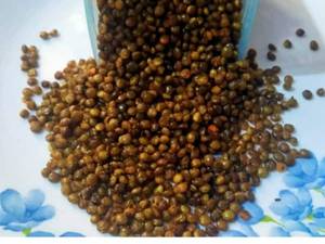 Special Malka Masoor