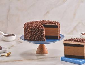 Chocolate Chips Ice Cream Cake (500 Ml)    