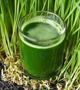 Arugampul Juice
