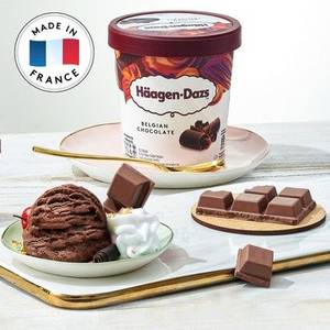 Belgian Chocolate Ice Cream (473ml)