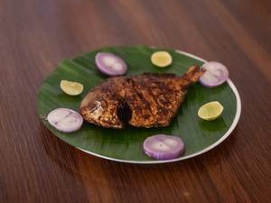 Pomfret ( Avoli) Fry