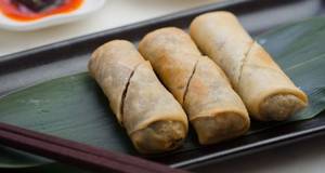 Mushroom Spring Roll