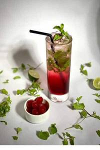 Cranberry Mojito
