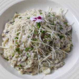 Wild Mushroom