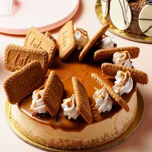 Biscoff Cheese Cake