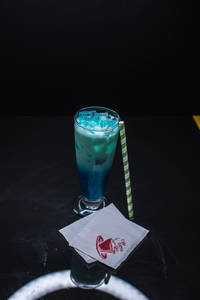 Blueberry Icecrusher