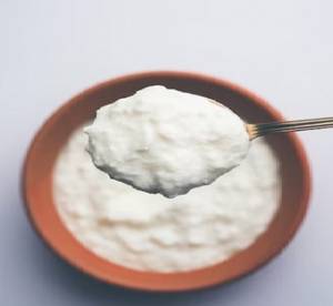 Plain Dahi