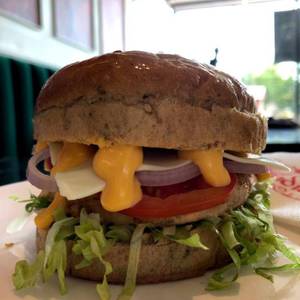 Exotica Burger Ts