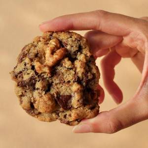 Chewy Chocolate And Walnut Cookie