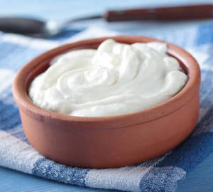 Plain Dahi