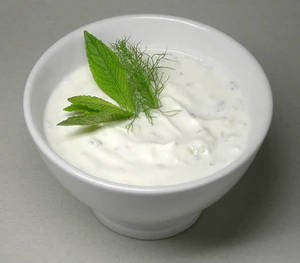 Plain Dahi