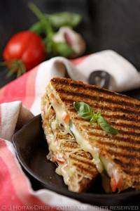 Veg Cheese Sandwich Grilled