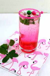 Bubble Gum Mint Mojito