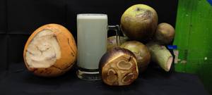 Tendet Coconut Nungu Juice [750ml]